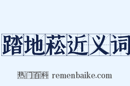 踏地菘近义词是什么意思的图片